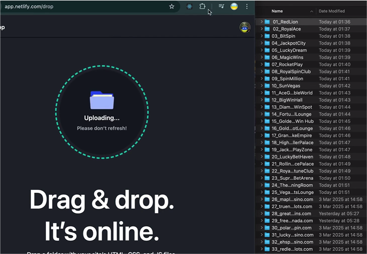 Site Optimizer - 2.png